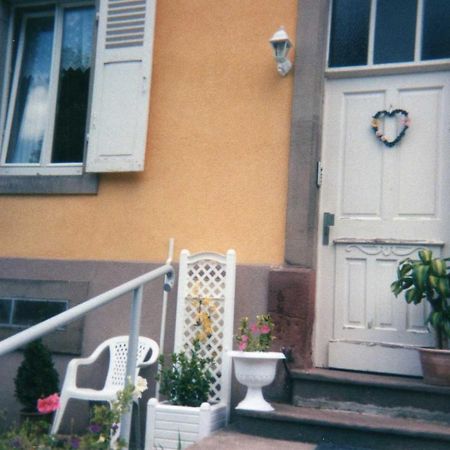 Les Hortensias Sainte-Marie-aux-Mines Exterior photo