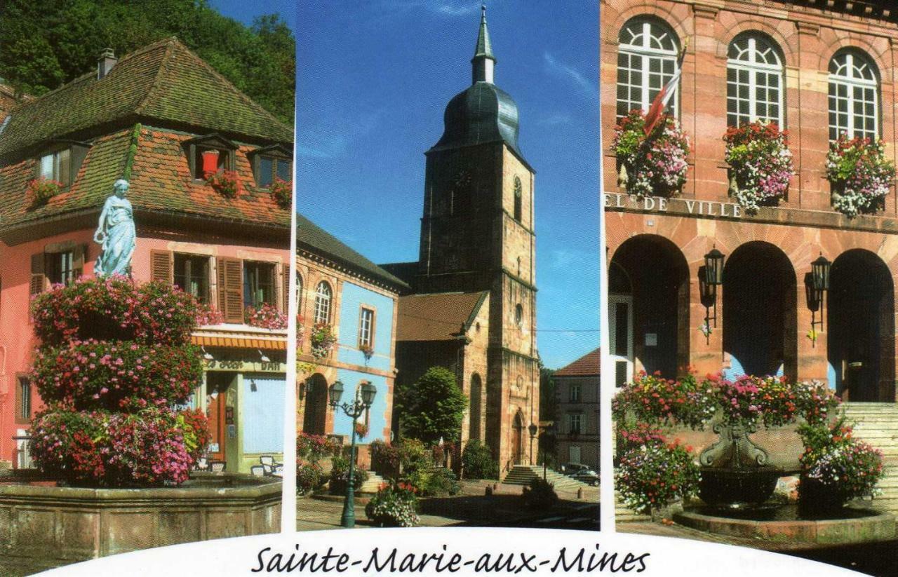 Les Hortensias Sainte-Marie-aux-Mines Exterior photo