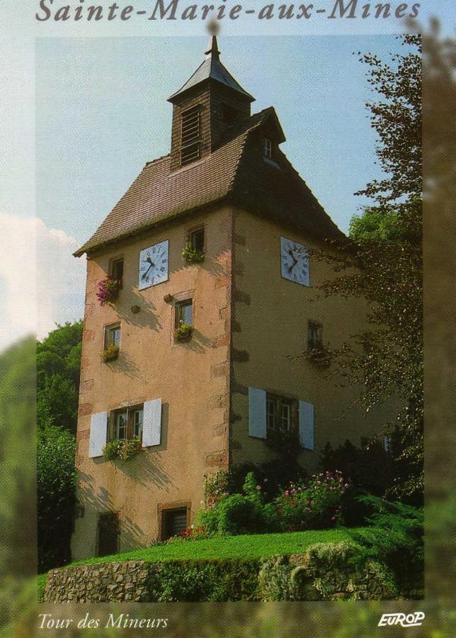 Les Hortensias Sainte-Marie-aux-Mines Exterior photo
